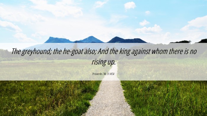 Picture 06 - Proverbs 30:31 ASV Desktop Wallpaper - The greyhound; the he-goat also; And the king - Desktop Bible Verse Wallpaper