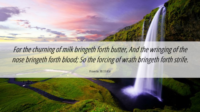 Picture 06 - Proverbs 30:33 ASV Desktop Wallpaper - For the churning of milk bringeth forth butter, - Desktop Bible Verse Wallpaper