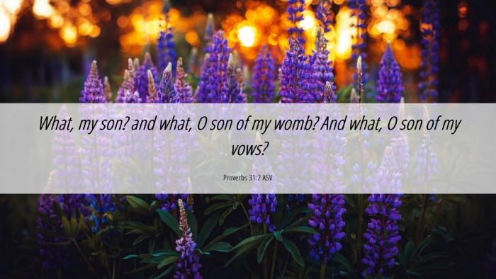Picture 06 - Proverbs 31:2 ASV Desktop Wallpaper - What, my son? and what, O son of my womb? And - Desktop Bible Verse Wallpaper