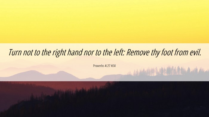 Picture 06 - Proverbs 4:27 ASV Desktop Wallpaper - Turn not to the right hand nor to the left: - Desktop Bible Verse Wallpaper