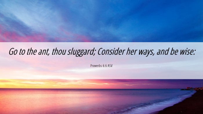 Picture 06 - Proverbs 6:6 ASV Desktop Wallpaper - Go to the ant, thou sluggard; Consider her ways, - Desktop Bible Verse Wallpaper