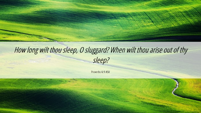 Picture 06 - Proverbs 6:9 ASV Desktop Wallpaper - How long wilt thou sleep, O sluggard? When wilt - Desktop Bible Verse Wallpaper