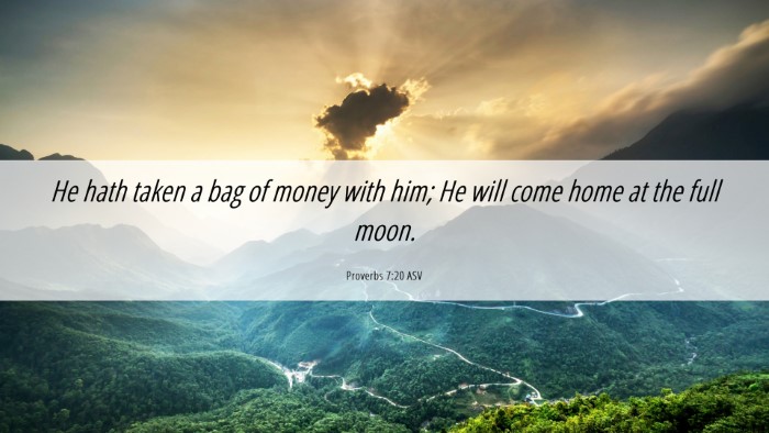 Picture 06 - Proverbs 7:20 ASV Desktop Wallpaper - He hath taken a bag of money with him; He will - Desktop Bible Verse Wallpaper