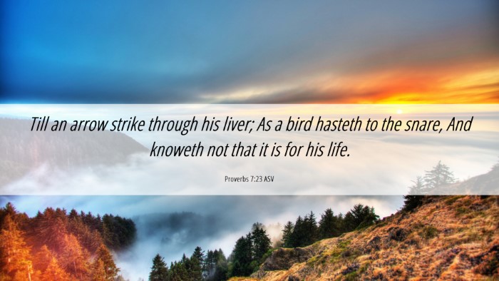 Picture 06 - Proverbs 7:23 ASV Desktop Wallpaper - Till an arrow strike through his liver; As a bird - Desktop Bible Verse Wallpaper