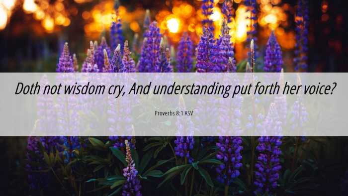 Picture 06 - Proverbs 8:1 ASV Desktop Wallpaper - Doth not wisdom cry, And understanding put forth - Desktop Bible Verse Wallpaper