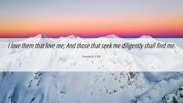 Picture 06 - Proverbs 8:17 ASV Desktop Wallpaper - I love them that love me; And those that seek me - Desktop Bible Verse Wallpaper