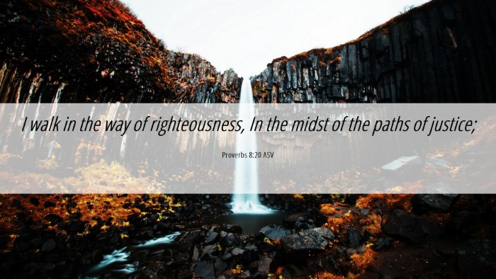 Picture 06 - Proverbs 8:20 ASV Desktop Wallpaper - I walk in the way of righteousness, In the midst - Desktop Bible Verse Wallpaper