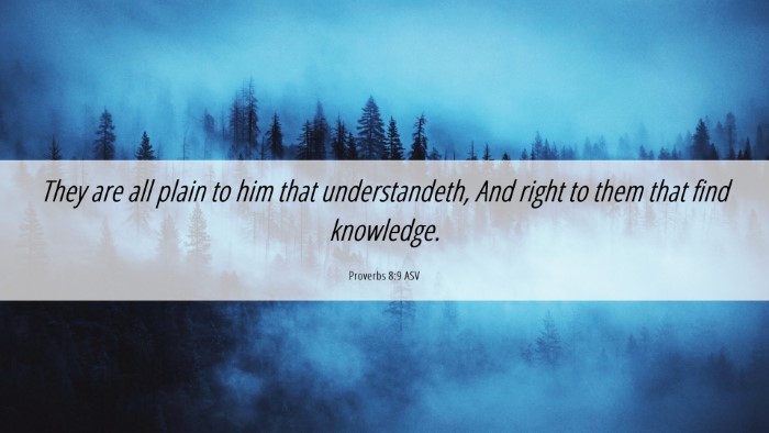 Picture 06 - Proverbs 8:9 ASV Desktop Wallpaper - They are all plain to him that understandeth, And - Desktop Bible Verse Wallpaper