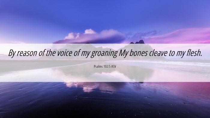 Picture 06 - Psalms 102:5 ASV Desktop Wallpaper - By reason of the voice of my groaning My bones - Desktop Bible Verse Wallpaper
