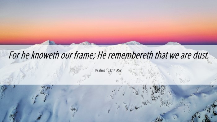 Picture 06 - Psalms 103:14 ASV Desktop Wallpaper - For he knoweth our frame; He remembereth that we - Desktop Bible Verse Wallpaper