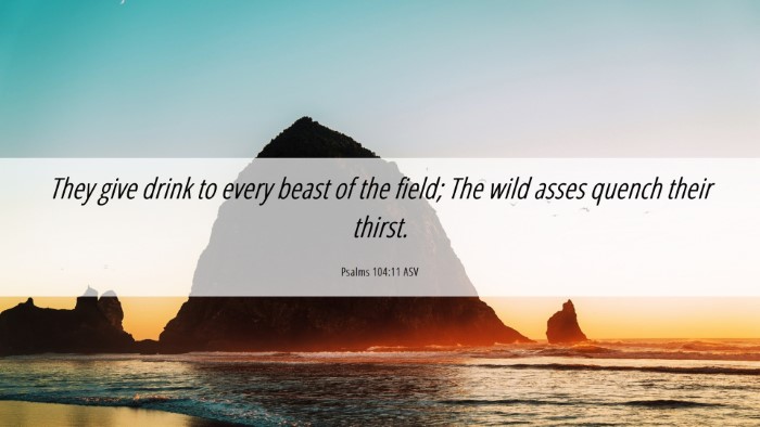 Picture 06 - Psalms 104:11 ASV Desktop Wallpaper - They give drink to every beast of the field; The - Desktop Bible Verse Wallpaper