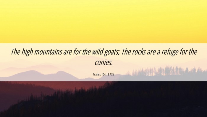 Picture 06 - Psalms 104:18 ASV Desktop Wallpaper - The high mountains are for the wild goats; The - Desktop Bible Verse Wallpaper