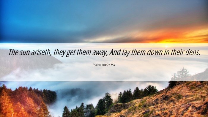 Picture 06 - Psalms 104:22 ASV Desktop Wallpaper - The sun ariseth, they get them away, And lay them - Desktop Bible Verse Wallpaper