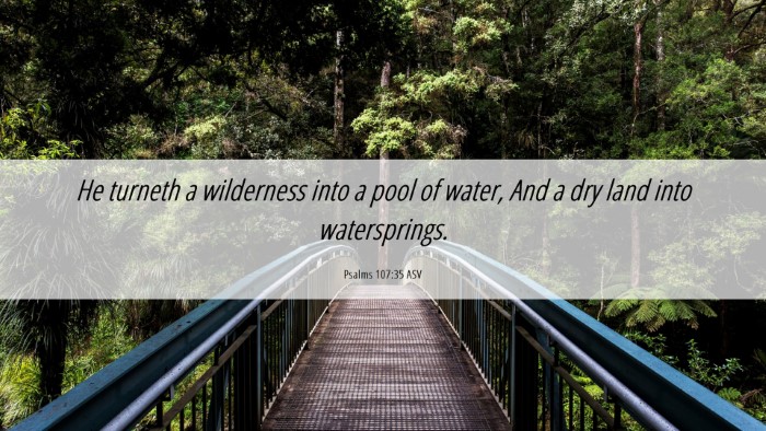 Picture 06 - Psalms 107:35 ASV Desktop Wallpaper - He turneth a wilderness into a pool of water, And - Desktop Bible Verse Wallpaper