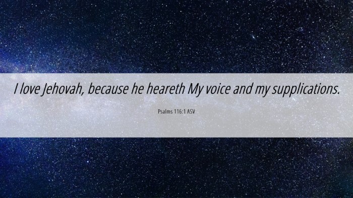 Picture 06 - Psalms 116:1 ASV Desktop Wallpaper - I love Jehovah, because he heareth My voice and - Desktop Bible Verse Wallpaper