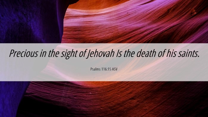 Picture 06 - Psalms 116:15 ASV Desktop Wallpaper - Precious in the sight of Jehovah Is the death of - Desktop Bible Verse Wallpaper
