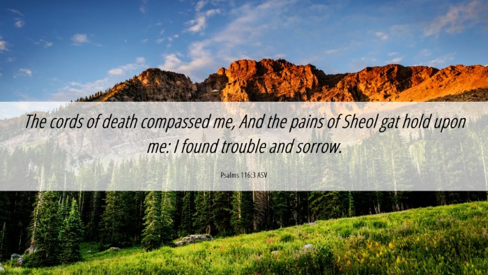 Picture 06 - Psalms 116:3 ASV Desktop Wallpaper - The cords of death compassed me, And the pains of - Desktop Bible Verse Wallpaper