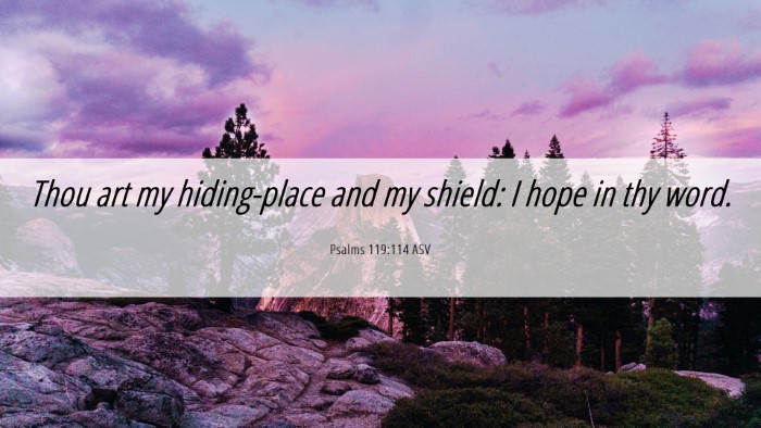 Picture 06 - Psalms 119:114 ASV Desktop Wallpaper - Thou art my hiding-place and my shield: I hope in - Desktop Bible Verse Wallpaper
