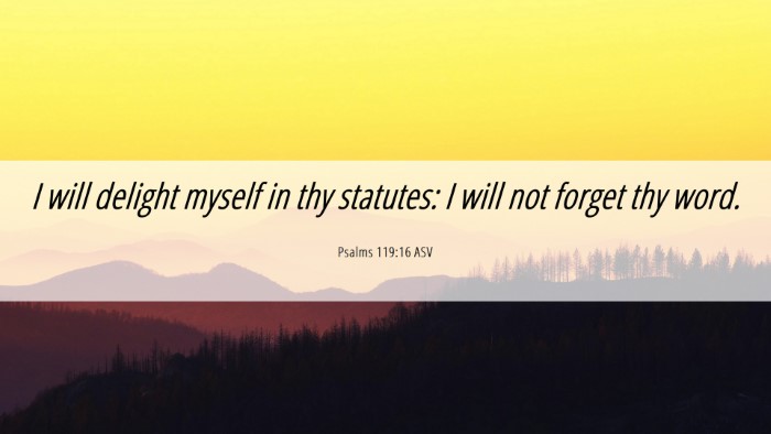 Picture 06 - Psalms 119:16 ASV Desktop Wallpaper - I will delight myself in thy statutes: I will not - Desktop Bible Verse Wallpaper