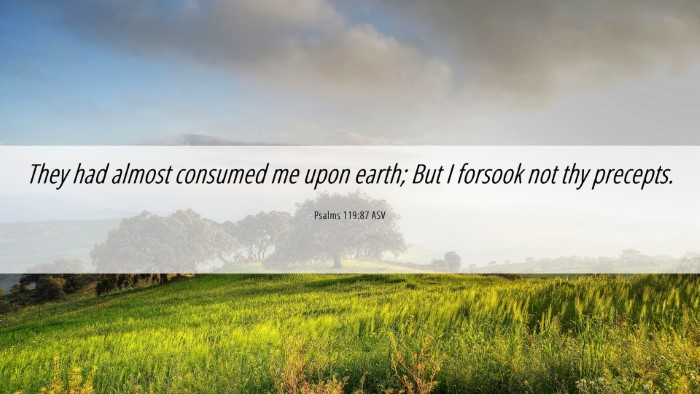 Picture 06 - Psalms 119:87 ASV Desktop Wallpaper - They had almost consumed me upon earth; But I - Desktop Bible Verse Wallpaper
