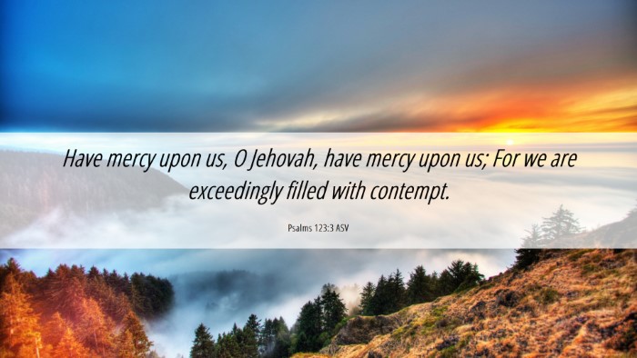Picture 06 - Psalms 123:3 ASV Desktop Wallpaper - Have mercy upon us, O Jehovah, have mercy upon - Desktop Bible Verse Wallpaper