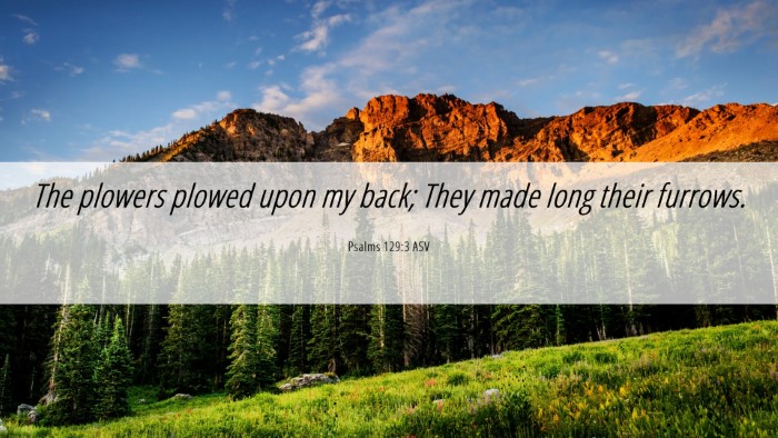 Picture 06 - Psalms 129:3 ASV Desktop Wallpaper - The plowers plowed upon my back; They made long - Desktop Bible Verse Wallpaper