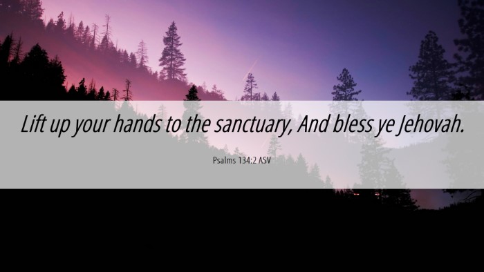 Picture 06 - Psalms 134:2 ASV Desktop Wallpaper - Lift up your hands to the sanctuary, And bless ye - Desktop Bible Verse Wallpaper