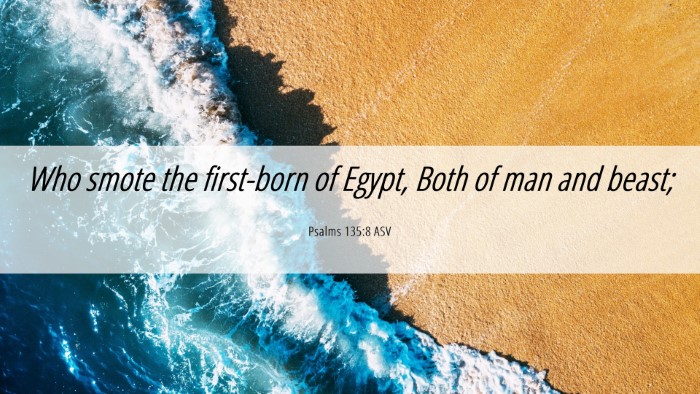 Picture 06 - Psalms 135:8 ASV Desktop Wallpaper - Who smote the first-born of Egypt, Both of man - Desktop Bible Verse Wallpaper