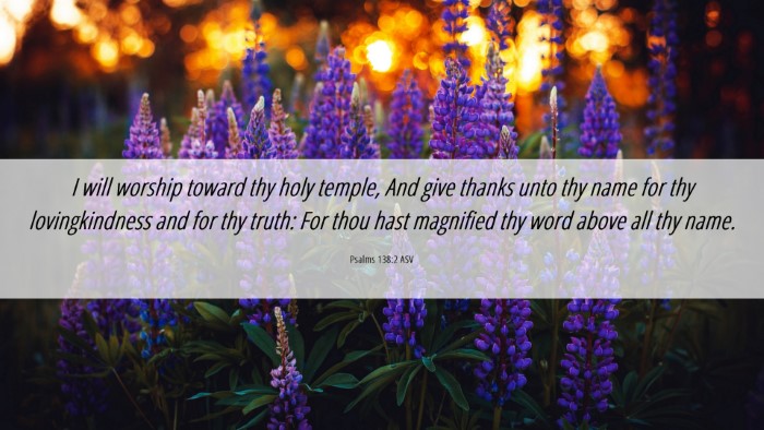 Picture 06 - Psalms 138:2 ASV Desktop Wallpaper - I will worship toward thy holy temple, And give - Desktop Bible Verse Wallpaper