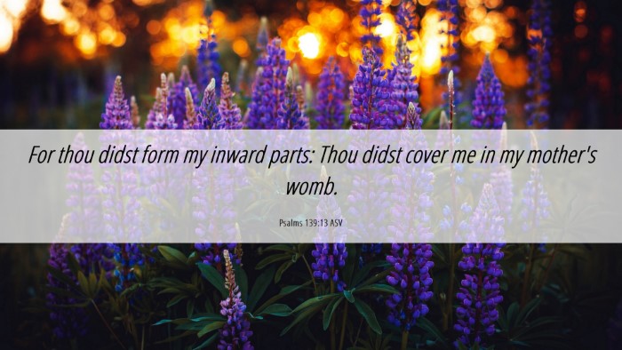 Picture 06 - Psalms 139:13 ASV Desktop Wallpaper - For thou didst form my inward parts: Thou didst - Desktop Bible Verse Wallpaper