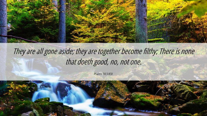 Picture 06 - Psalms 14:3 ASV Desktop Wallpaper - They are all gone aside; they are together become - Desktop Bible Verse Wallpaper