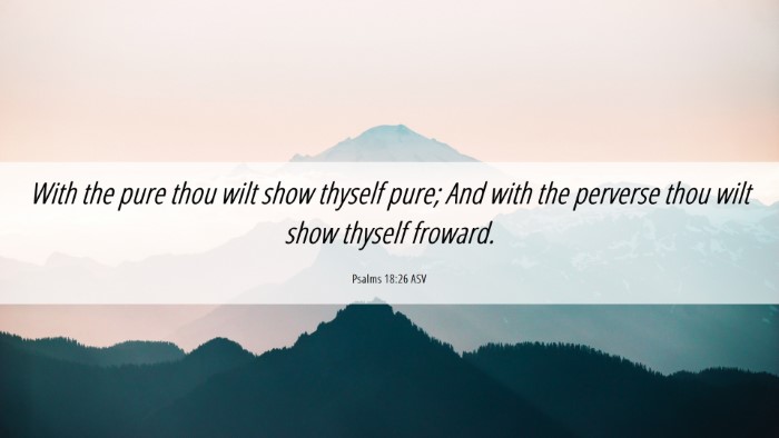 Picture 06 - Psalms 18:26 ASV Desktop Wallpaper - With the pure thou wilt show thyself pure; And - Desktop Bible Verse Wallpaper