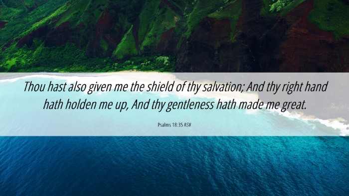 Picture 06 - Psalms 18:35 ASV Desktop Wallpaper - Thou hast also given me the shield of thy - Desktop Bible Verse Wallpaper