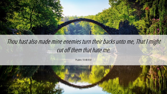 Picture 06 - Psalms 18:40 ASV Desktop Wallpaper - Thou hast also made mine enemies turn their backs - Desktop Bible Verse Wallpaper