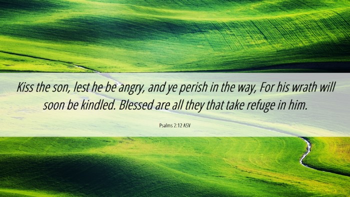 Picture 06 - Psalms 2:12 ASV Desktop Wallpaper - Kiss the son, lest he be angry, and ye perish in - Desktop Bible Verse Wallpaper