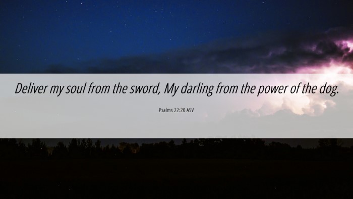 Picture 06 - Psalms 22:20 ASV Desktop Wallpaper - Deliver my soul from the sword, My darling from - Desktop Bible Verse Wallpaper