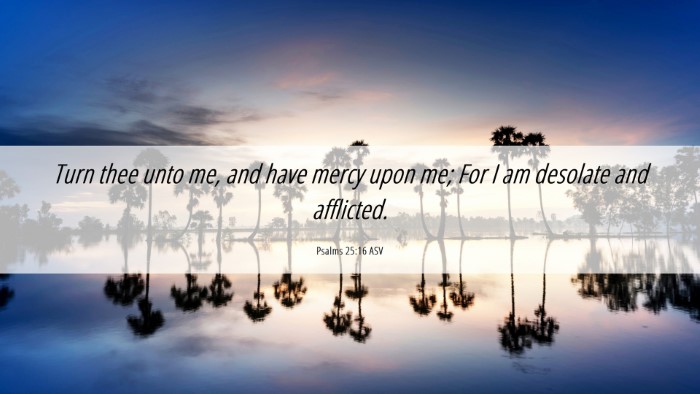 Picture 06 - Psalms 25:16 ASV Desktop Wallpaper - Turn thee unto me, and have mercy upon me; For I - Desktop Bible Verse Wallpaper