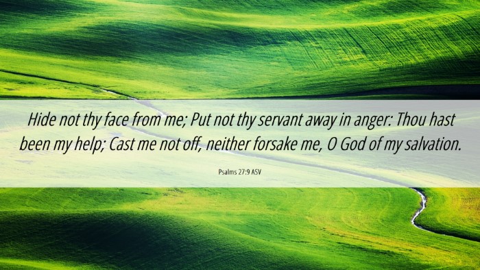 Picture 06 - Psalms 27:9 ASV Desktop Wallpaper - Hide not thy face from me; Put not thy servant - Desktop Bible Verse Wallpaper