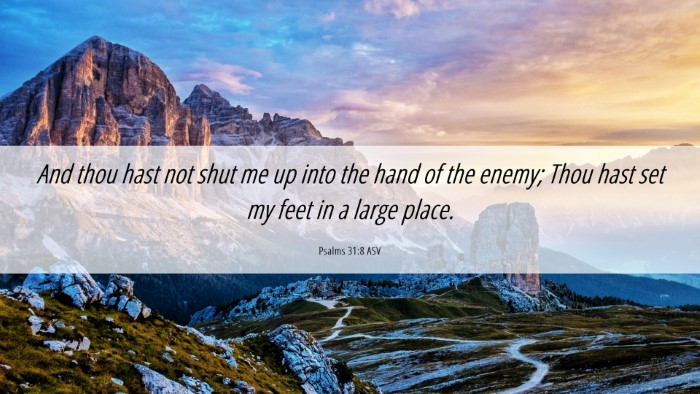 Picture 06 - Psalms 31:8 ASV Desktop Wallpaper - And thou hast not shut me up into the hand of the - Desktop Bible Verse Wallpaper