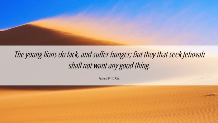 Picture 06 - Psalms 34:10 ASV Desktop Wallpaper - The young lions do lack, and suffer hunger; But - Desktop Bible Verse Wallpaper