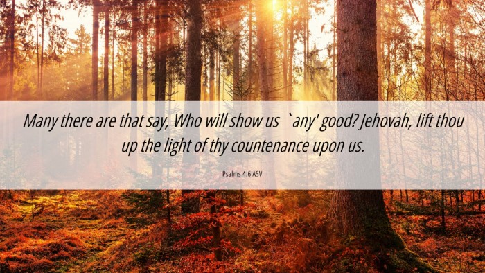 Picture 06 - Psalms 4:6 ASV Desktop Wallpaper - Many there are that say, Who will show us `any' - Desktop Bible Verse Wallpaper