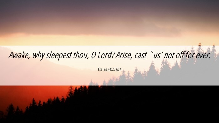 Picture 06 - Psalms 44:23 ASV Desktop Wallpaper - Awake, why sleepest thou, O Lord? Arise, cast - Desktop Bible Verse Wallpaper
