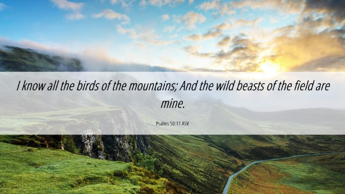 Picture 06 - Psalms 50:11 ASV Desktop Wallpaper - I know all the birds of the mountains; And the - Desktop Bible Verse Wallpaper