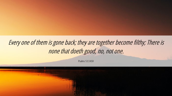 Picture 06 - Psalms 53:3 ASV Desktop Wallpaper - Every one of them is gone back; they are together - Desktop Bible Verse Wallpaper