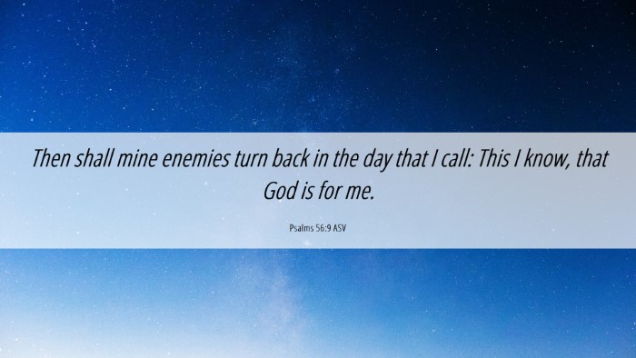 Picture 06 - Psalms 56:9 ASV Desktop Wallpaper - Then shall mine enemies turn back in the day that - Desktop Bible Verse Wallpaper