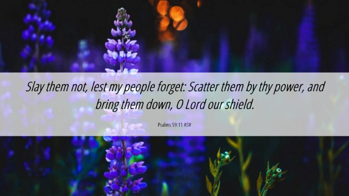 Picture 06 - Psalms 59:11 ASV Desktop Wallpaper - Slay them not, lest my people forget: Scatter - Desktop Bible Verse Wallpaper