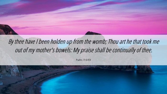Picture 06 - Psalms 71:6 ASV Desktop Wallpaper - By thee have I been holden up from the womb; Thou - Desktop Bible Verse Wallpaper