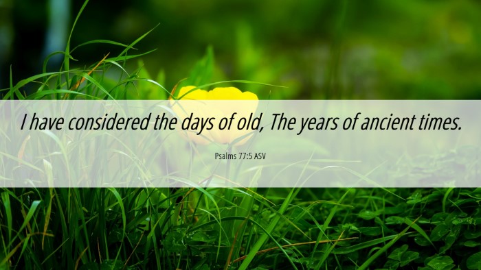 Picture 06 - Psalms 77:5 ASV Desktop Wallpaper - I have considered the days of old, The years of - Desktop Bible Verse Wallpaper