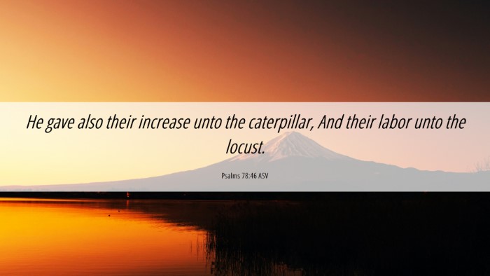 Picture 06 - Psalms 78:46 ASV Desktop Wallpaper - He gave also their increase unto the caterpillar, - Desktop Bible Verse Wallpaper