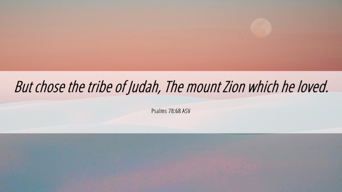 Picture 06 - Psalms 78:68 ASV Desktop Wallpaper - But chose the tribe of Judah, The mount Zion - Desktop Bible Verse Wallpaper